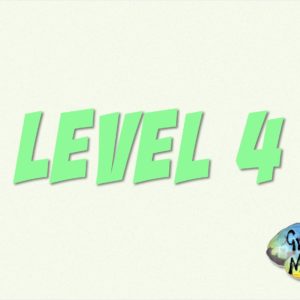 Level 4